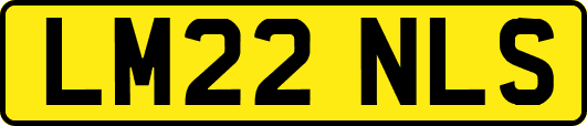 LM22NLS
