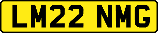 LM22NMG