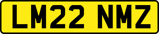 LM22NMZ