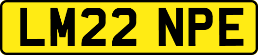 LM22NPE
