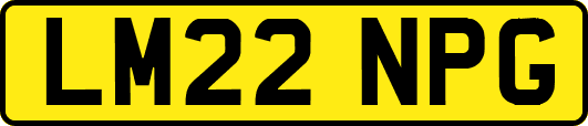 LM22NPG