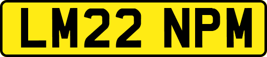 LM22NPM