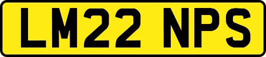 LM22NPS