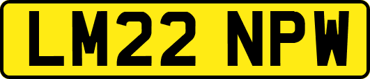 LM22NPW