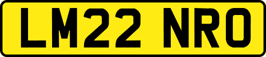 LM22NRO