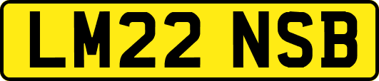 LM22NSB