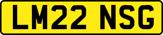 LM22NSG