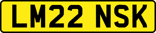 LM22NSK