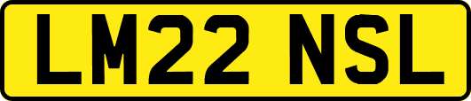LM22NSL
