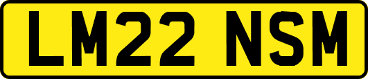 LM22NSM