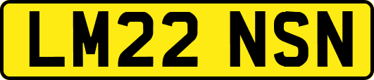 LM22NSN