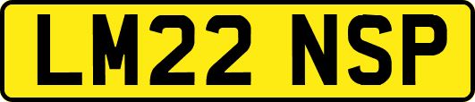 LM22NSP