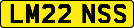 LM22NSS