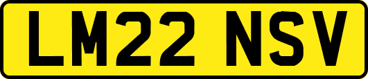 LM22NSV