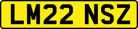 LM22NSZ
