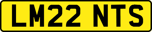 LM22NTS