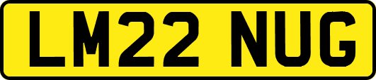 LM22NUG