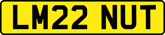 LM22NUT