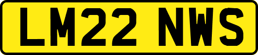 LM22NWS