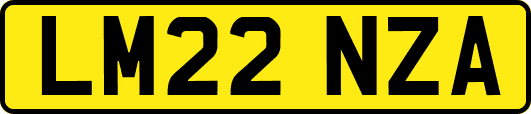 LM22NZA