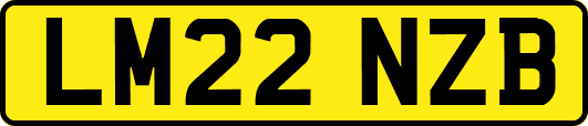 LM22NZB