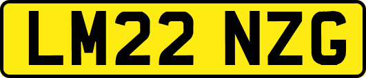 LM22NZG