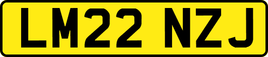LM22NZJ