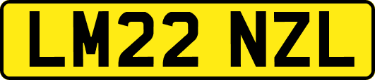 LM22NZL