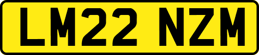 LM22NZM