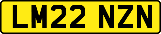 LM22NZN