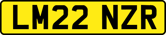 LM22NZR