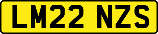 LM22NZS