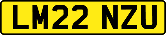 LM22NZU