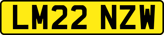 LM22NZW