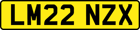 LM22NZX