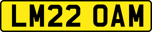 LM22OAM