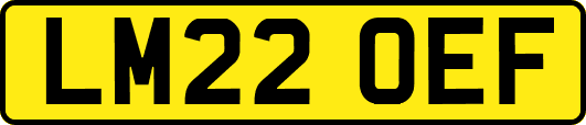LM22OEF