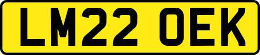 LM22OEK