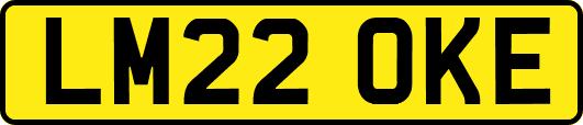 LM22OKE