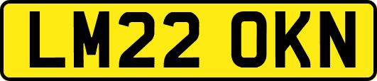 LM22OKN