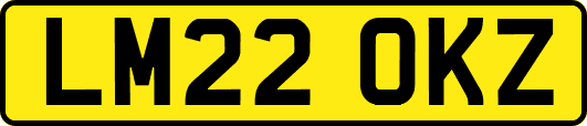 LM22OKZ