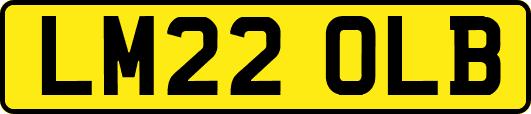 LM22OLB