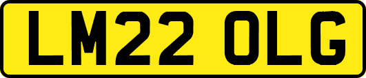 LM22OLG