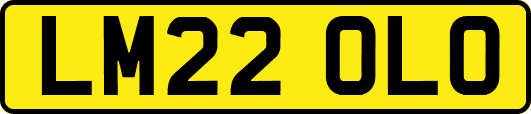 LM22OLO