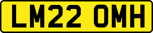 LM22OMH