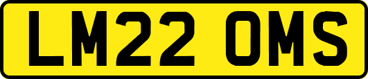 LM22OMS