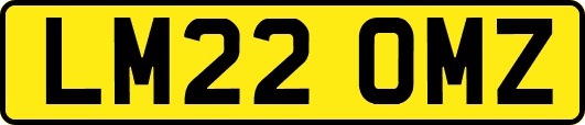 LM22OMZ