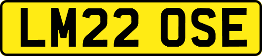 LM22OSE