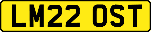 LM22OST