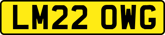LM22OWG